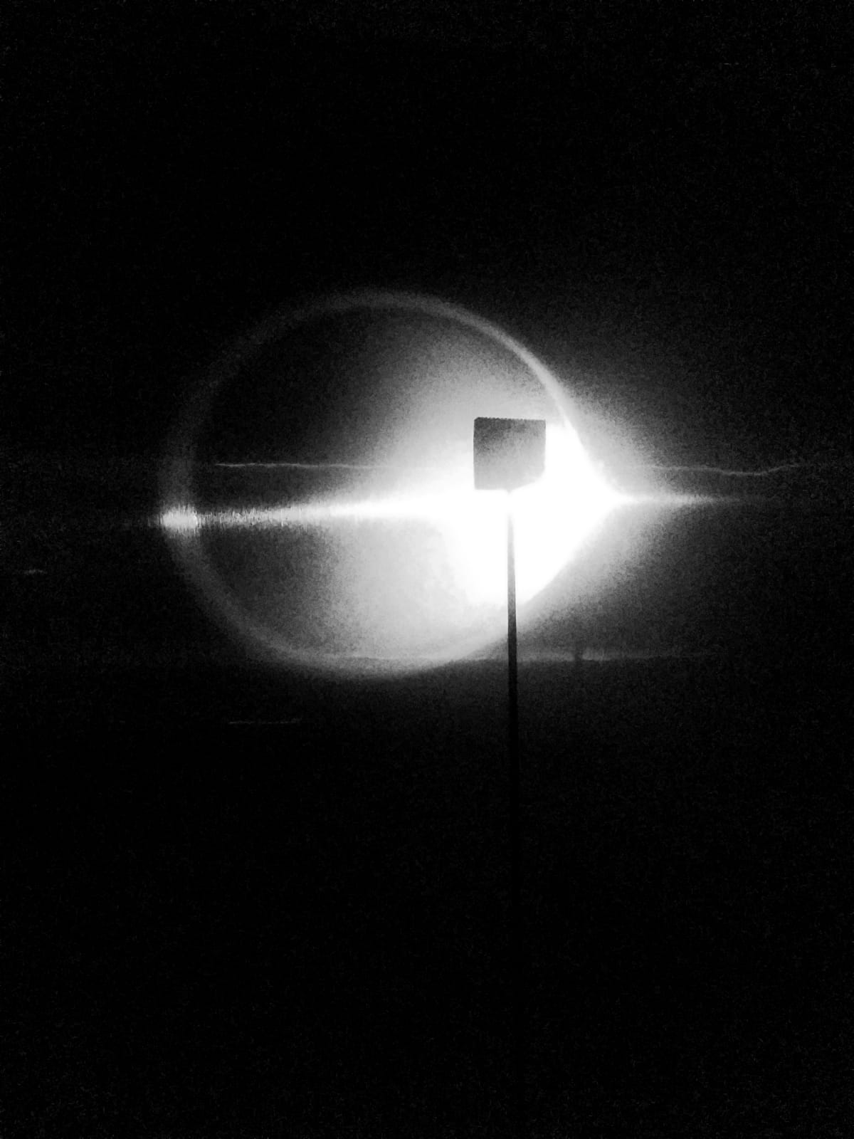 Experimental 1