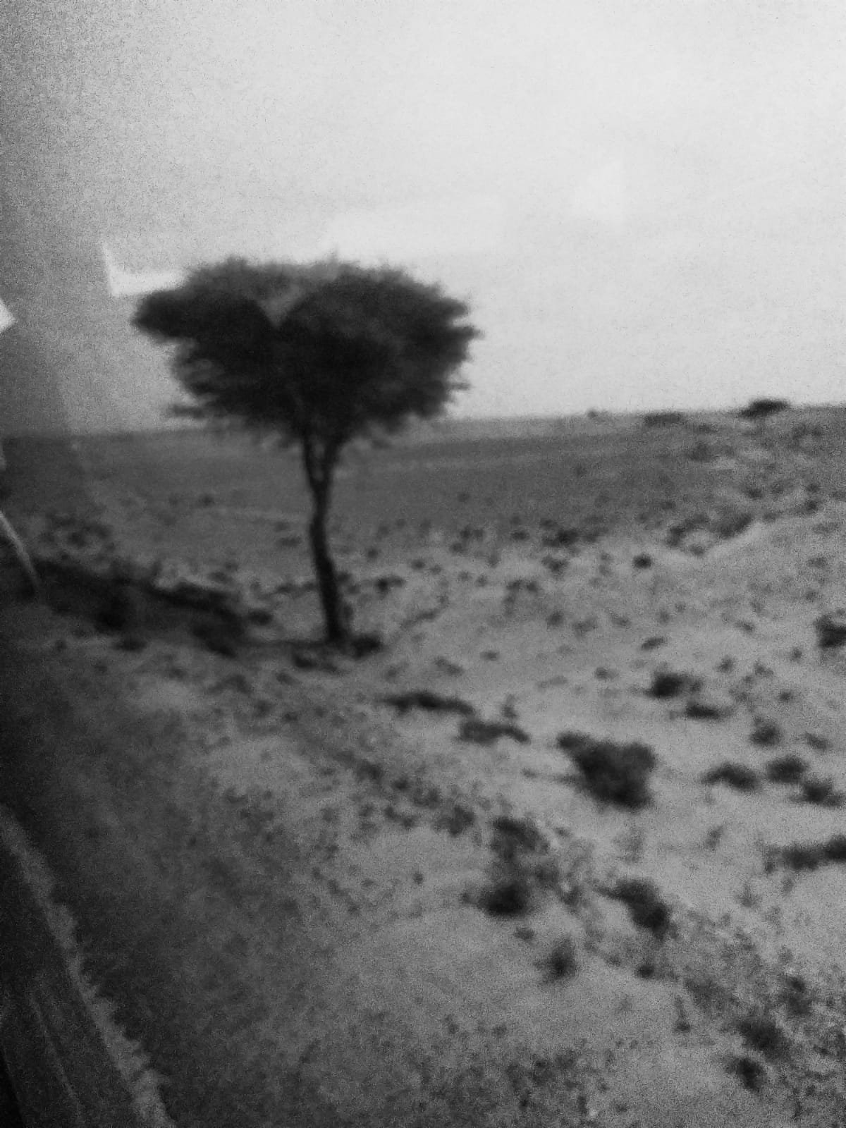 Sahara 5